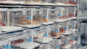 Innovive caging system